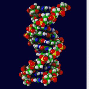 dna