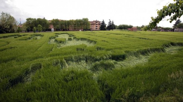 Cerchi nel grano: strana apparizione in Lombardia