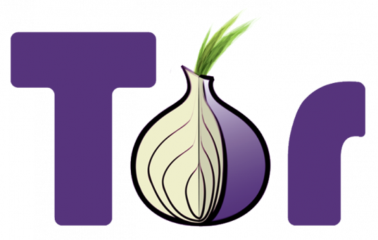 Inchiesta – Deep Web, l’internet invisibile. #2 Nel mondo di Tor
