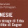 “Amnesie”, un libro per leggere Cogne ed Erba da un’altra ..